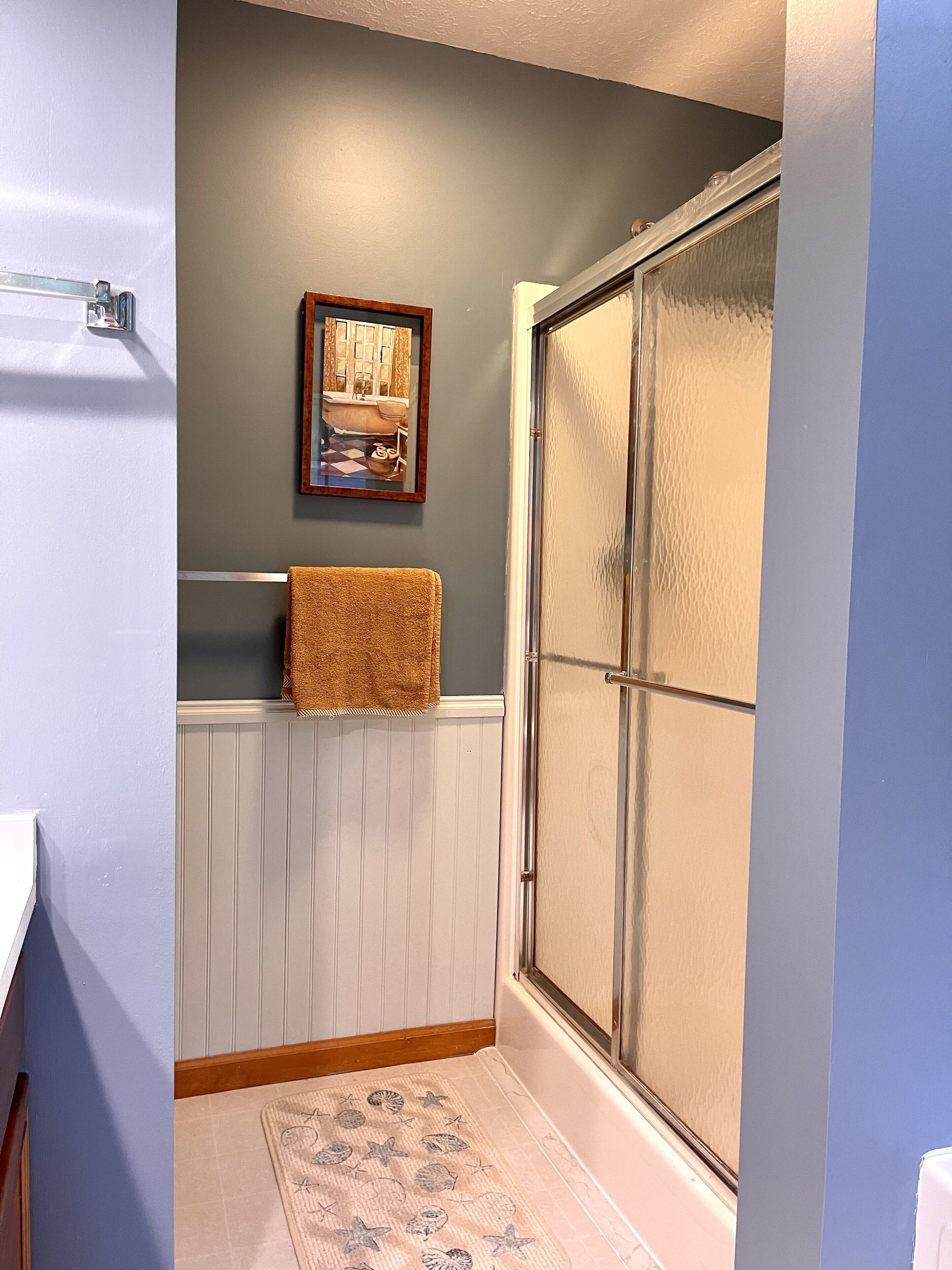 A bathroom with a shower, a towel rack, a framed picture on the wall, and a patterned rug on the floor.