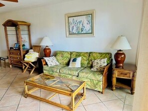 Télévision, lecteur de DVD, livres