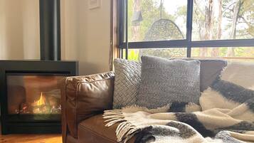 TV, fireplace, video game console, DVD player