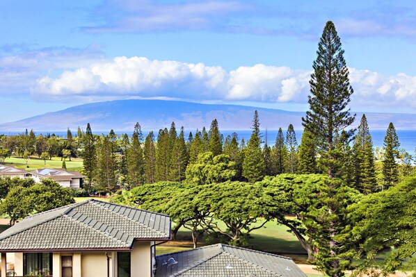 A residential area with a house featuring a tiled roof, surrounded by lush greenery and a mountain in the background.
