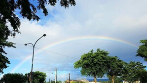 A street with a rainbow, trees, and buildings in the background. - Dog House (Taitung)