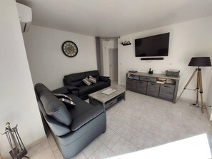 TV connectée, cheminée, lecteur de DVD, livres