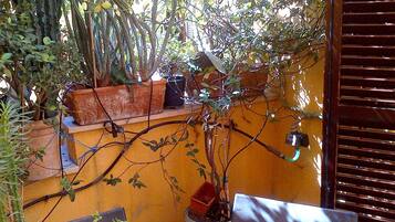 Ristorazione all'aperto