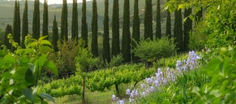 Between art and nature farm in Umbria Green Heart of Italy