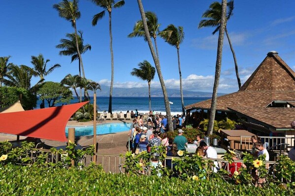 Outdoor pool - NS D127 Studio w Pool Near Beach (Lahaina)