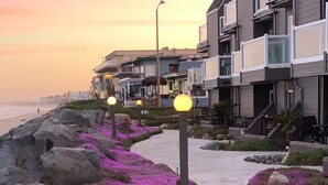 Une promenade en bord de mer agrémentée de fleurs violettes, un sentier pavé et des immeubles d’habitation en arrière-plan.