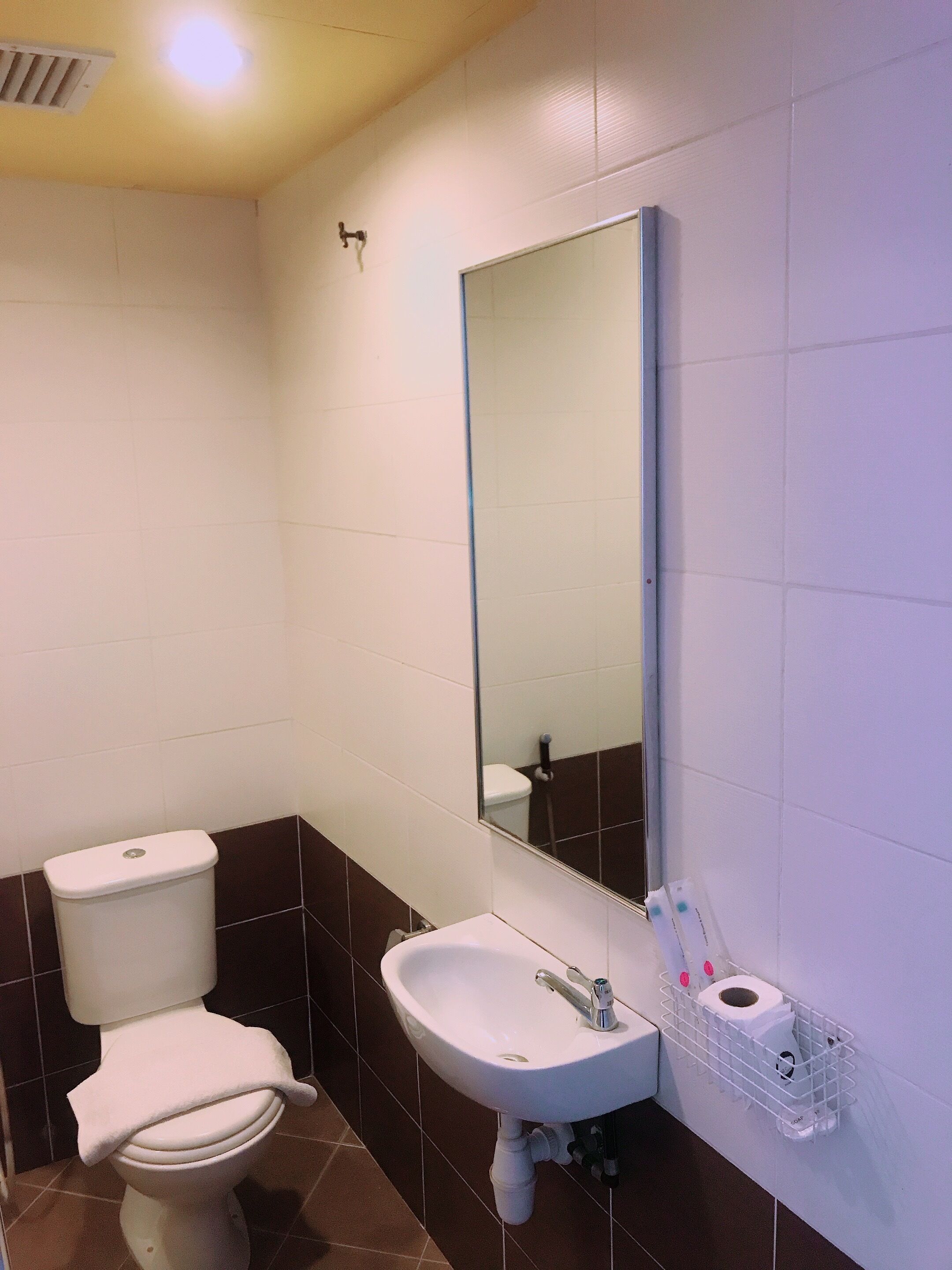 standard double room | bathroom | shower, free toiletries, towels