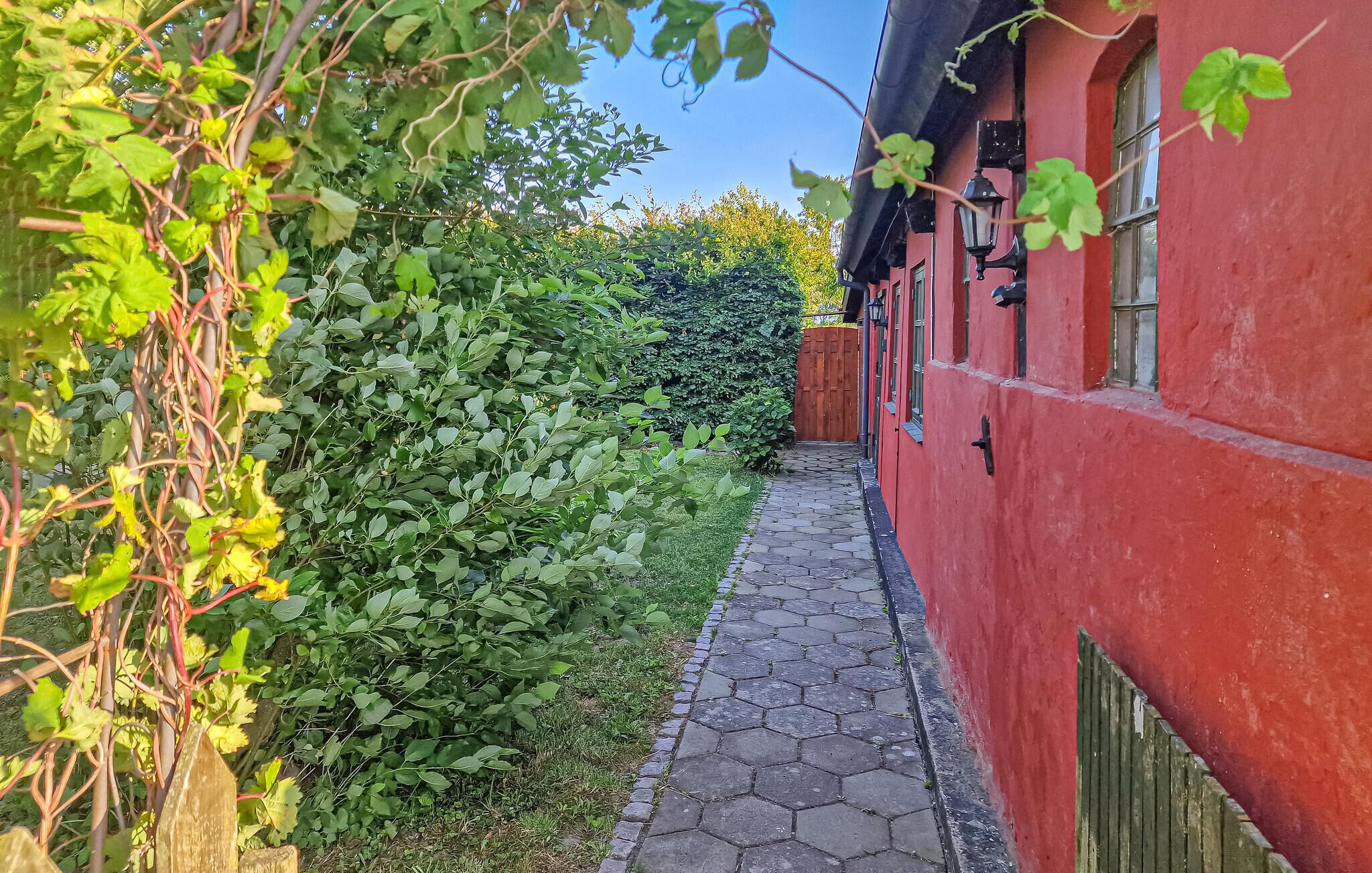 Un sendero estrecho que conduce a un edificio rojo con una puerta de madera, rodeado de follaje denso y un cielo despejado.