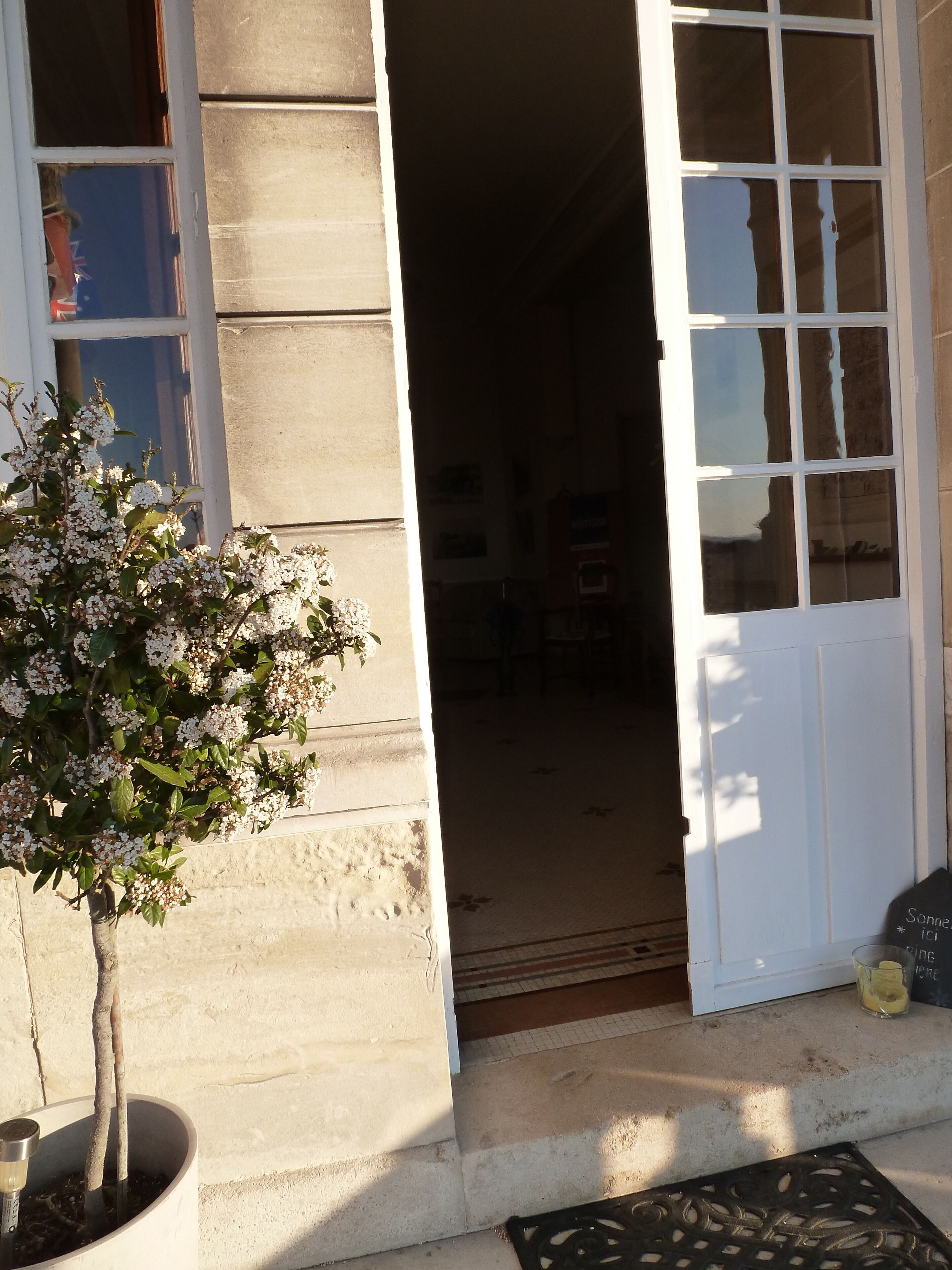 Une entrée d’immeuble avec un pot de fleurs, une porte blanche et une fenêtre qui reflète le ciel.