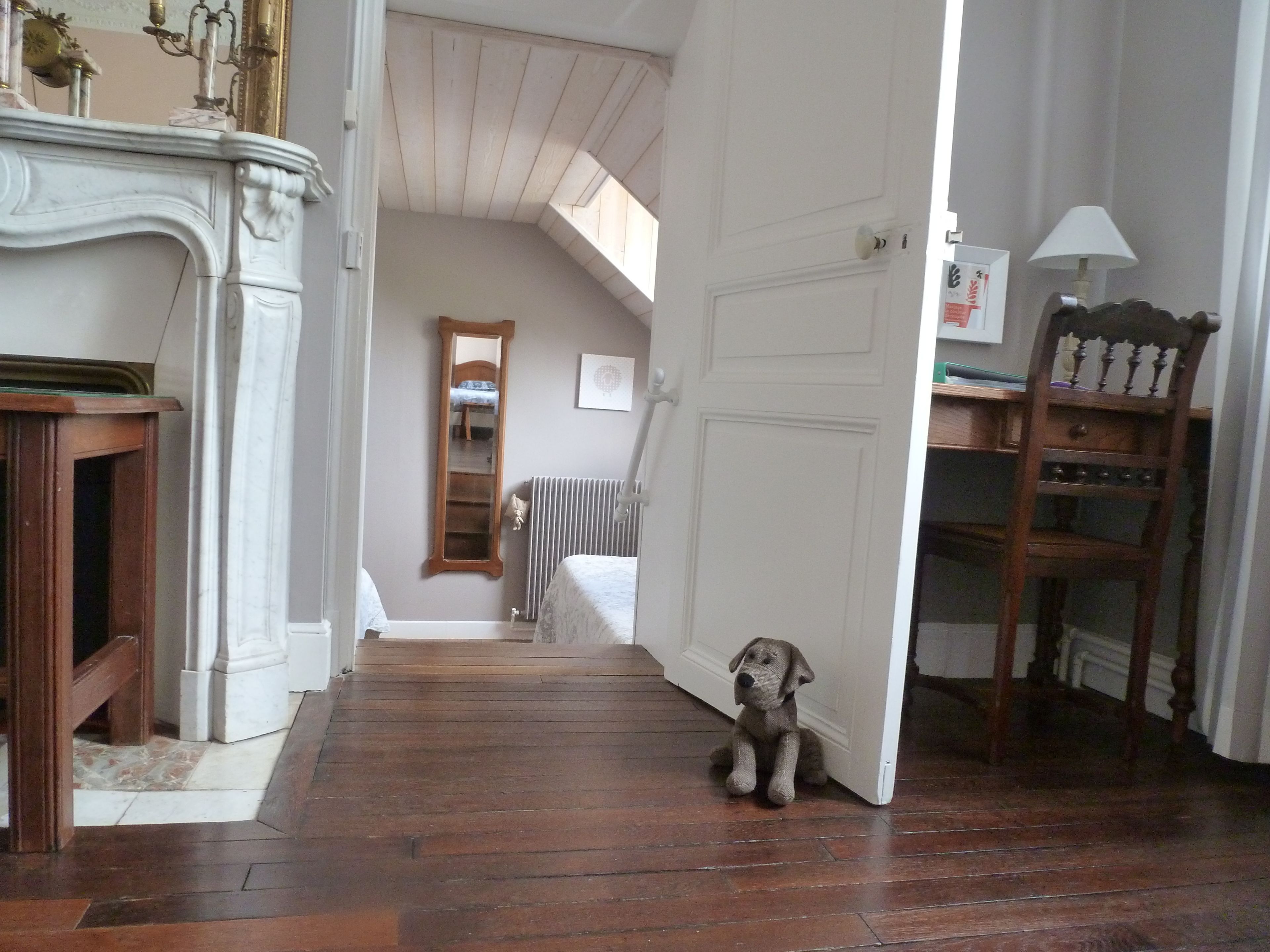 A hallway with a wooden floor, a white door, a mirror, and a small dog sitting near the door.