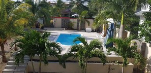 Una piscina rodeada de palmeras y un muro de piedra.