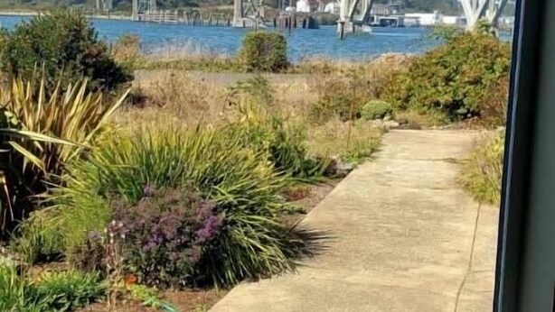 Vista de un puente sobre el agua, un jardín con diversas plantas y un sendero de hormigón.