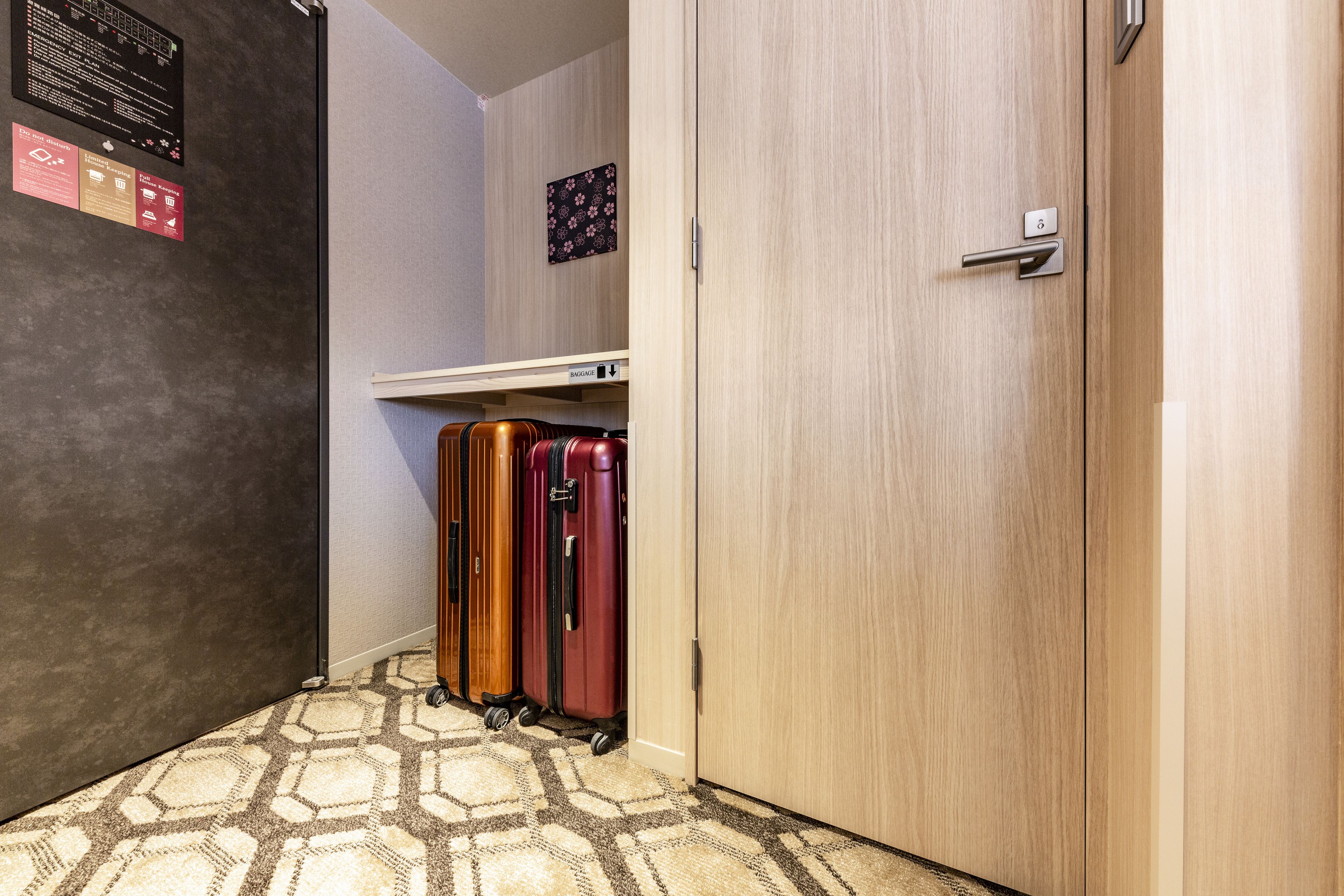 A hallway with a patterned carpet, a wooden door, and two suitcases against the wall.