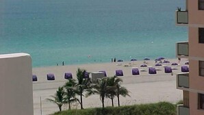 A beach view with a row of purple beach chairs and palm trees in the foreground. - Lincoln Rd & Collins Ave,  ROMANTIC 2 PERSON JACUZZI    (Miami Beach)