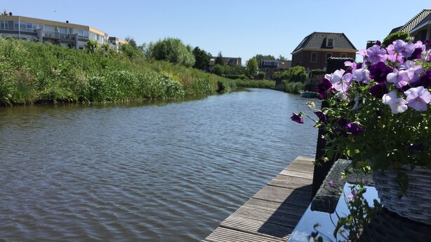 A wooden dock extending into a calm river, surrounded by lush greenery and residential buildings in the background.