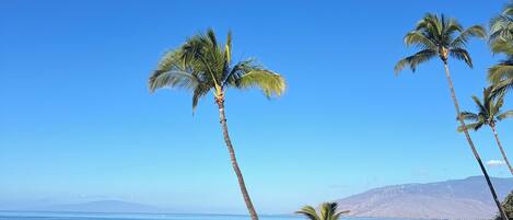 Playa en los alrededores, camastros y toallas de playa