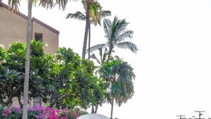 A sign for 'Maui Vista' with a bird logo, located at 2191 South Kihei Road.