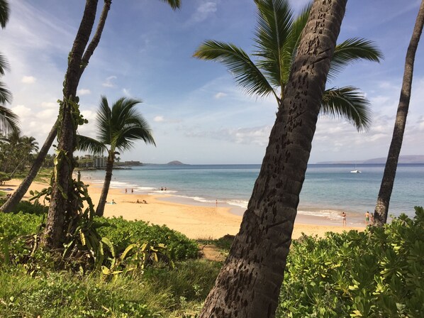 Plage à proximité, chaises longues, serviettes de plage