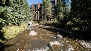 Un fiume che scorre attraverso una foresta, con un edificio a più piani sullo sfondo.