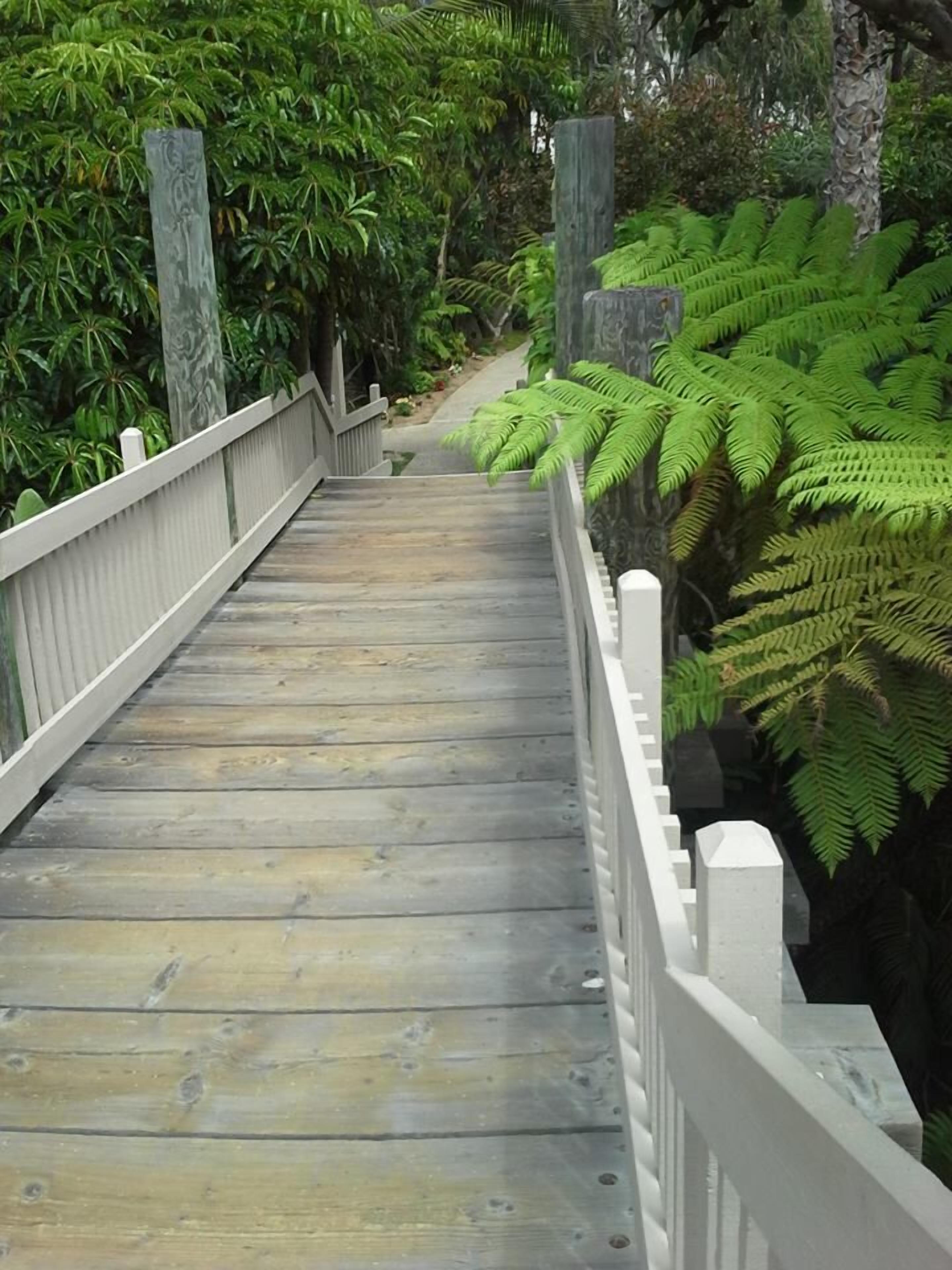 A wooden bridge with white railings, surrounded by lush green foliage.