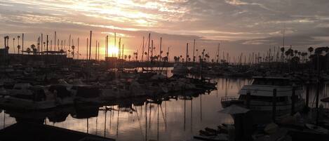 A marina with boats docked, palm trees, and a sunset in the background.