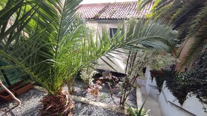 A courtyard with a palm tree, a small plant, and a white wall with a metal railing. - Los Patios de Santander (Santander)
