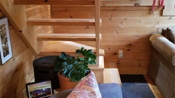 Smart TV, reproductor de DVD, libros y estéreo