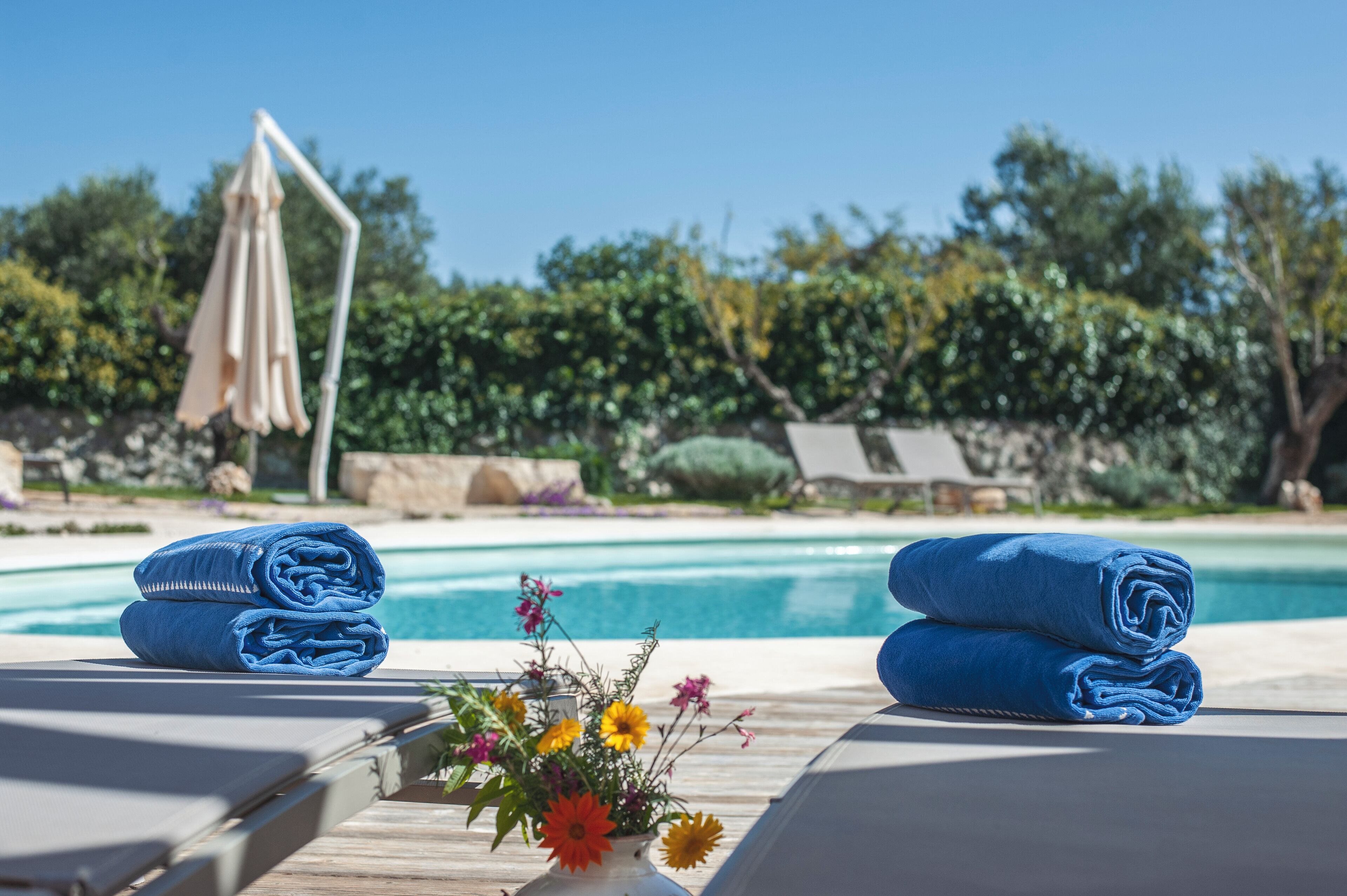 季節限定屋外プール、プール パラソル、サンラウンジャー