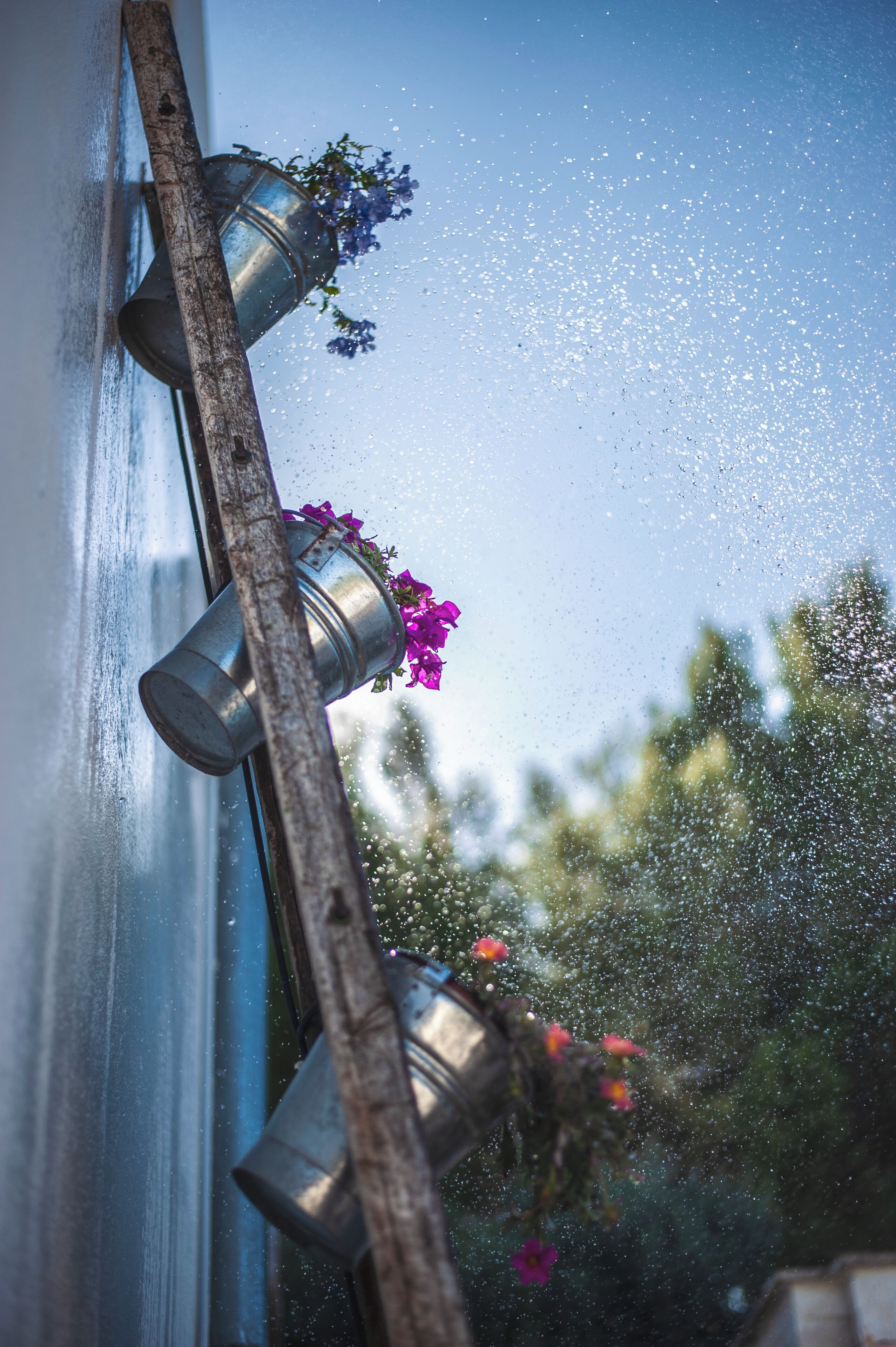 A window with metal buckets containing flowers.