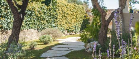 Un sendero de piedra que atraviesa un jardín con árboles y plantas florecientes.
