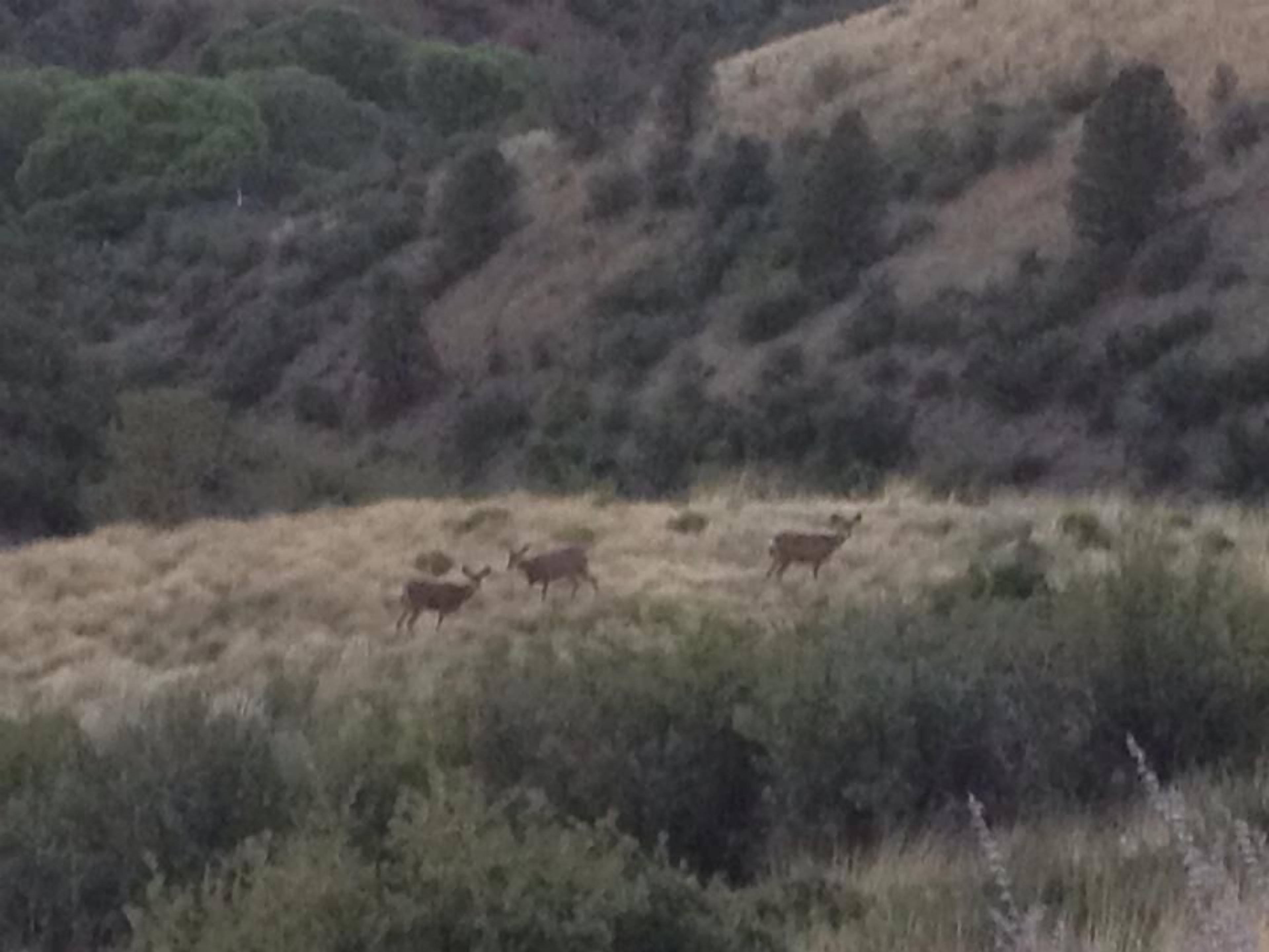 Peaceful Prescott Living With 360 Degree Views, Close To Shopping & Downtown