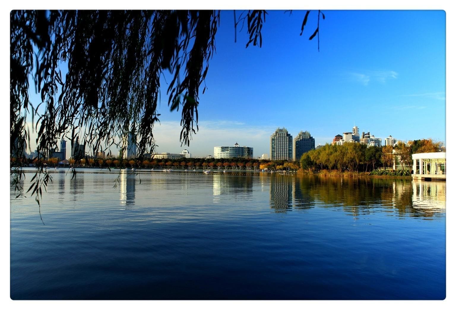 Un lago tranquilo con un horizonte urbano al fondo, que incluye edificios modernos y un edificio histórico.
