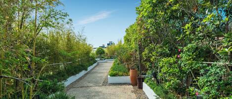 A pathway flanked by lush greenery and white planters, leading towards distant buildings.