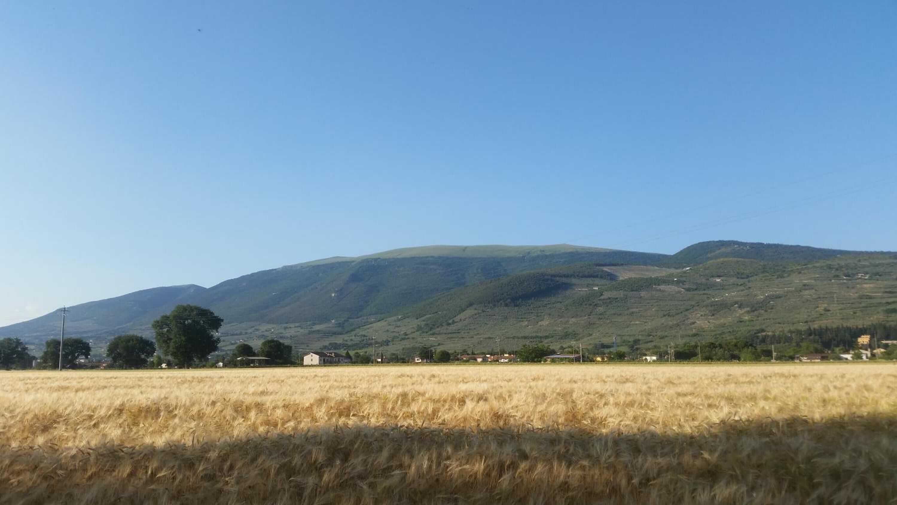 A rural landscape with a field of golden wheat, a small cluster of houses, and rolling hills in the background.