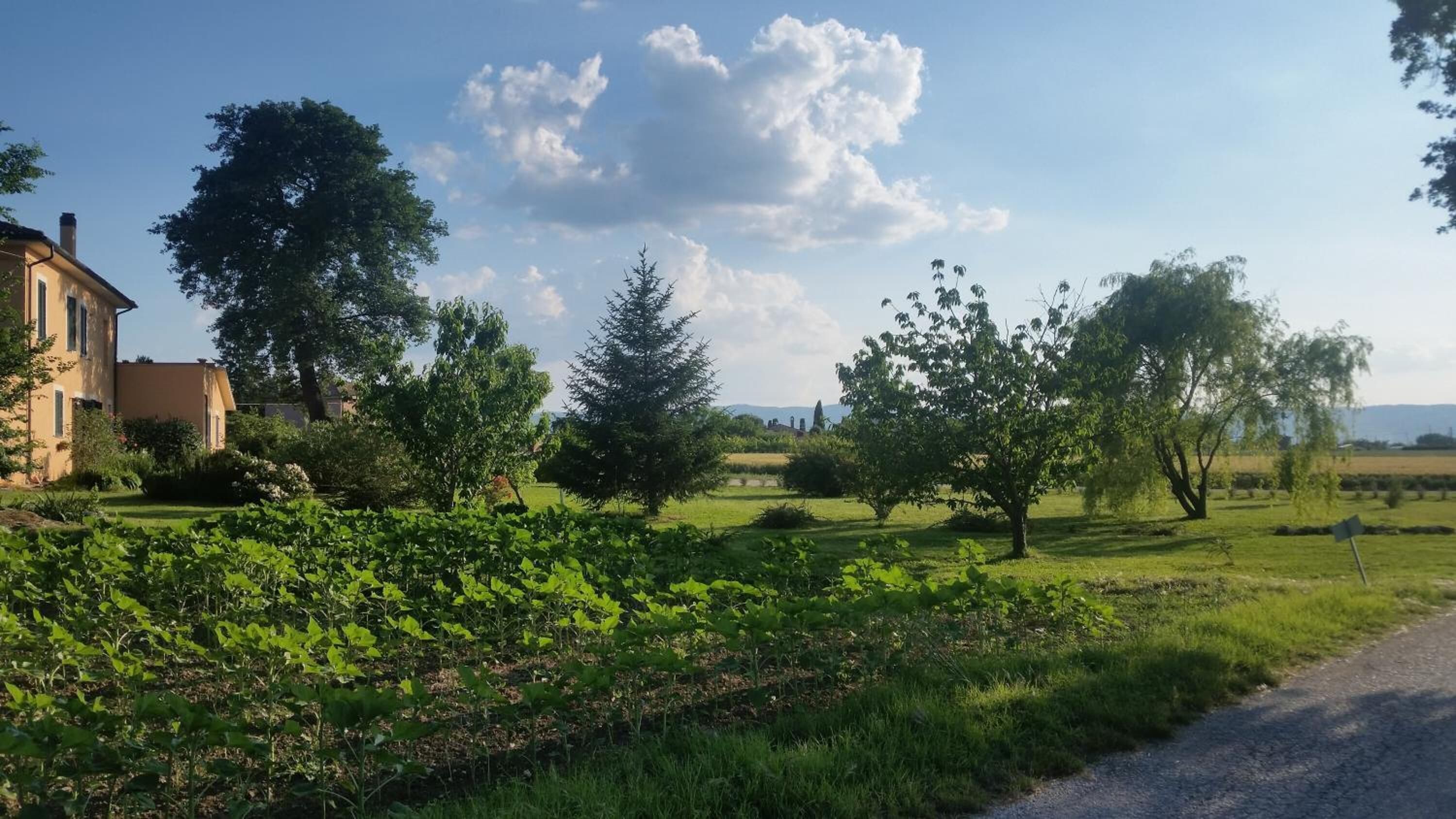 Un paysage rural avec une maison, une végétation luxuriante et un ciel dégagé.