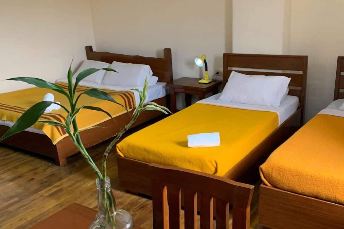 Ein Hotelzimmer mit drei Einzelbetten, jedes mit einem Holz-Kopfteil und einer gelben Bettdecke. Zwischen den Betten steht ein kleiner Tisch mit einer Lampe, und in der Ecke ein Blumentopf.