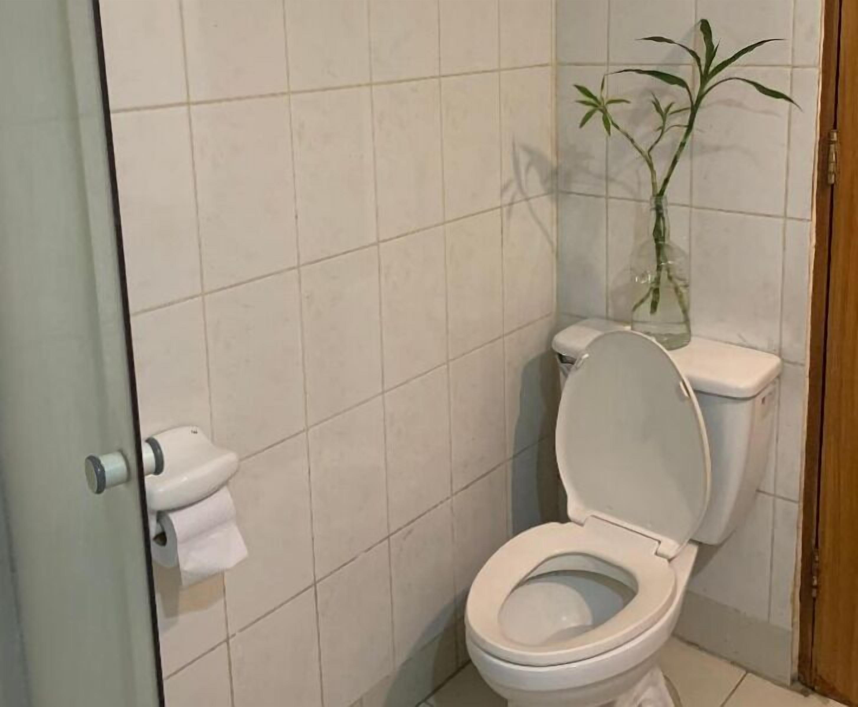 A bathroom with a toilet, a toilet paper holder, and a plant in a vase.