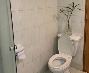 A bathroom with a toilet, a toilet paper holder, and a plant in a vase.