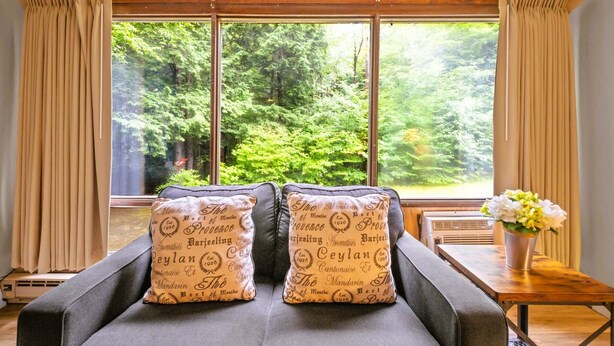 A room with a sofa facing a large window with a forest view, two decorative pillows with text, a small table with a vase of flowers, and a radiator. - Evergreen Valley Inn by Coolvacay (Stoneham)