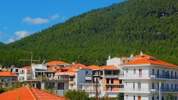 Apartment, Balcony, City View (Penthouse) | View from room
