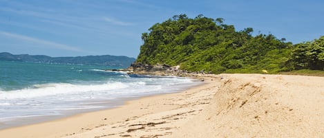 Plage à proximité, parasols
