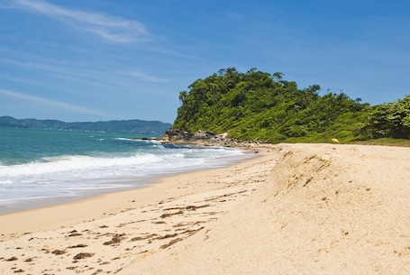 Beach nearby, beach umbrellas