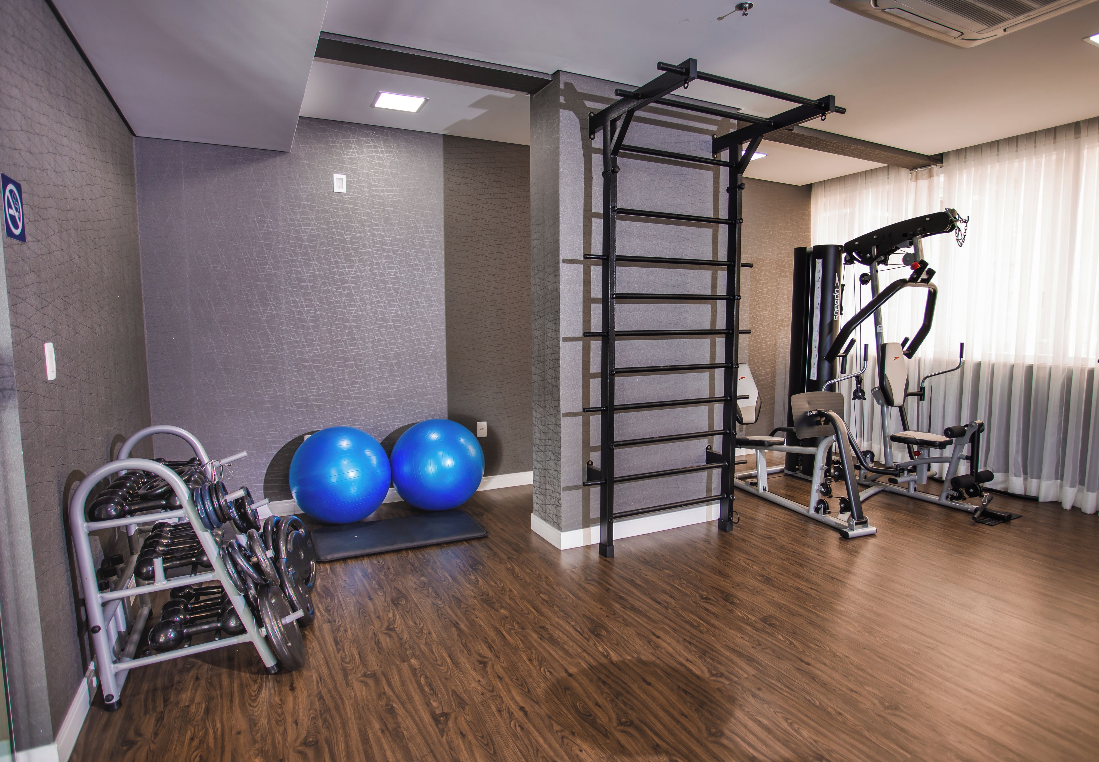 Un gimnasio con equipamiento de ejercicio, incluyendo una barra de dominadas, pelotas de ejercicio y máquinas de pesas.
