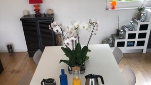 Ein Esstisch ist reichhaltig gedeckt mit Speisen, Getränken und Gewürzen, umgeben von Stühlen und einem Blumentopf.
