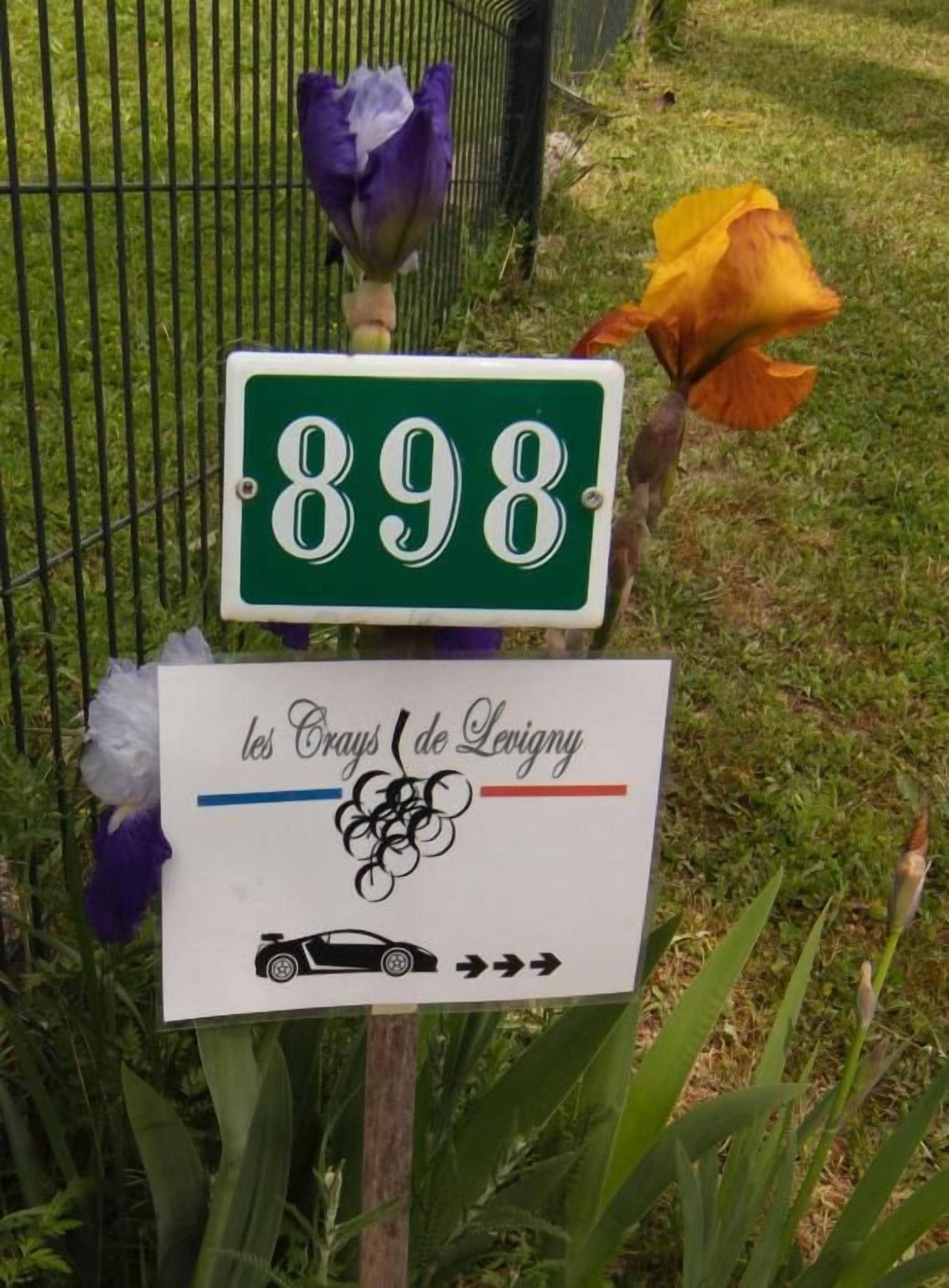 Un letrero verde con el número 898 y un letrero blanco debajo con texto y un símbolo de coche.