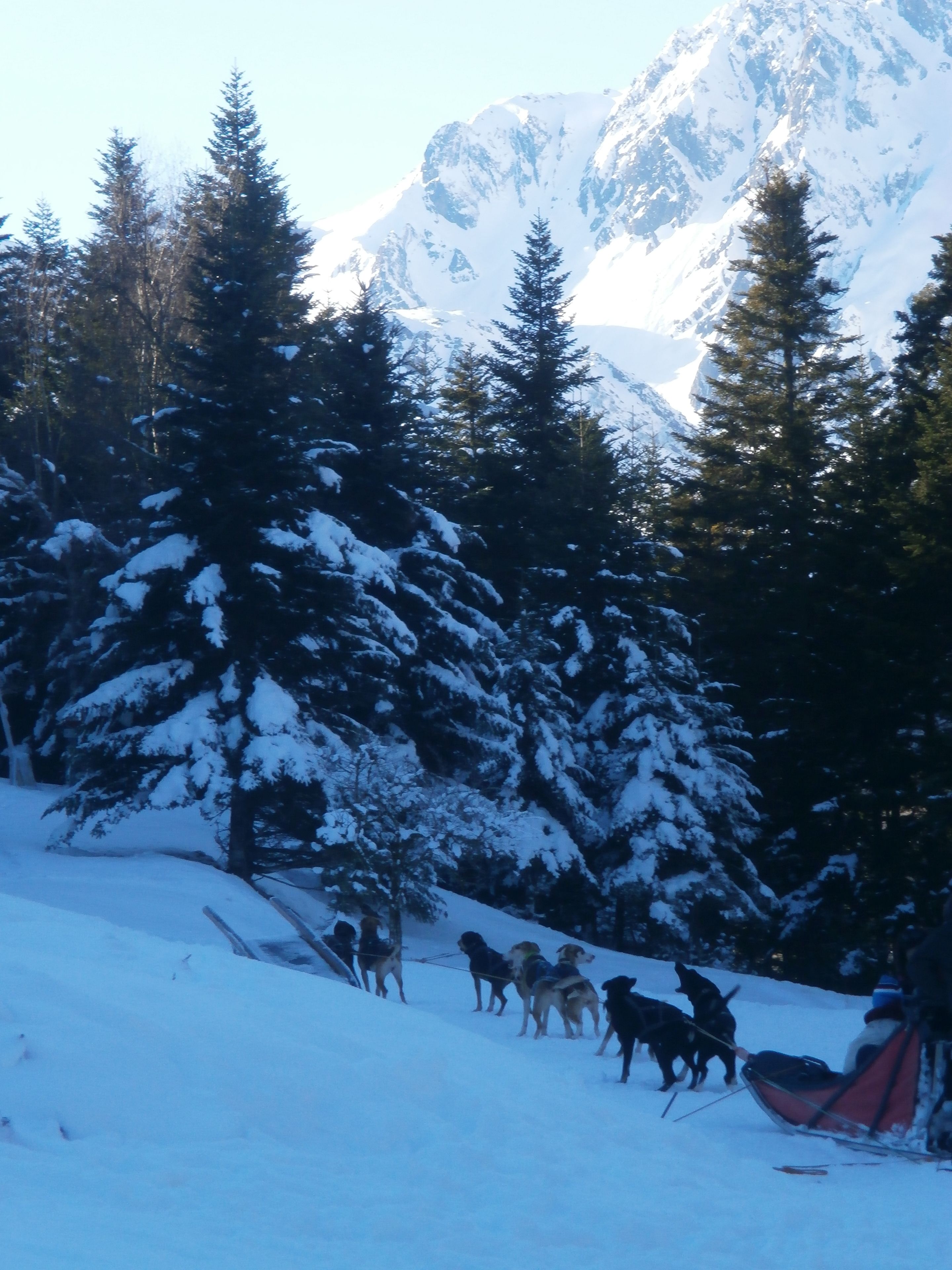 Eine verschneite Berglandschaft mit einer Schlittenhunde-Mannschaft.
