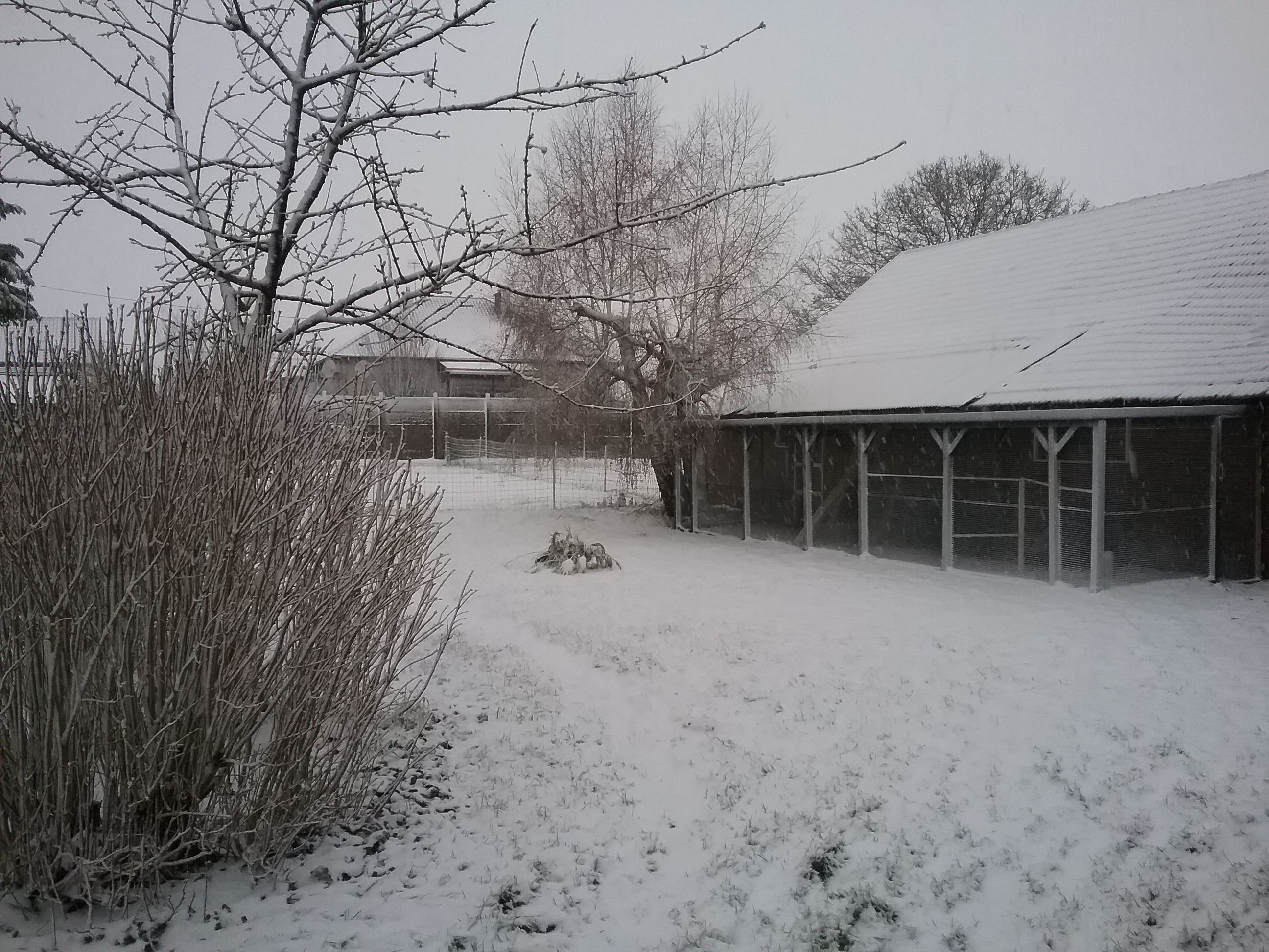 Een besneeuwde buitenruimte met een gebouw dat een metalen dak en een omheining heeft.