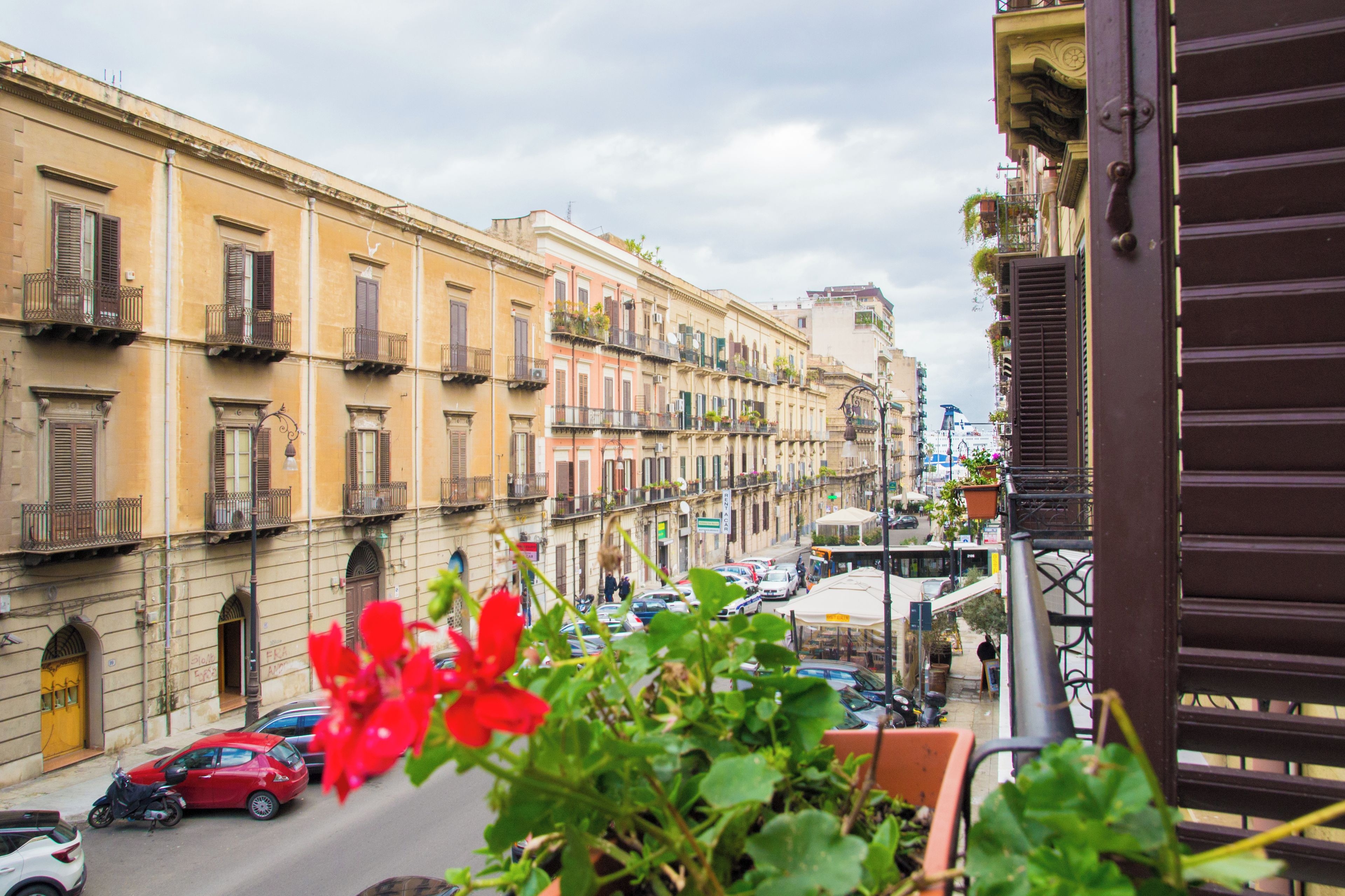 A street view with buildings, cars, and a balcony with potted plants.