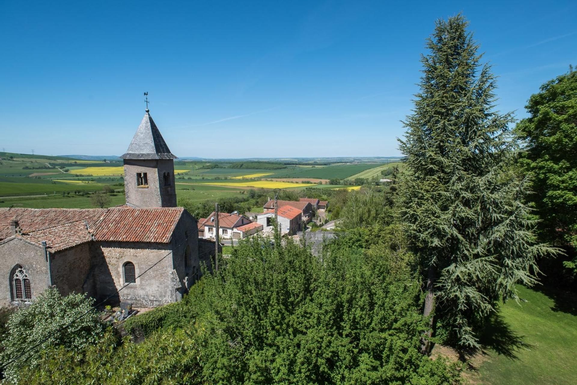 A church with a bell tower, surrounded by greenery and fields.