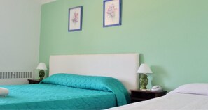 Basic Room, 1 King Bed, Smoking, Private Bathroom